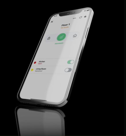 Palladium  Interactive Services